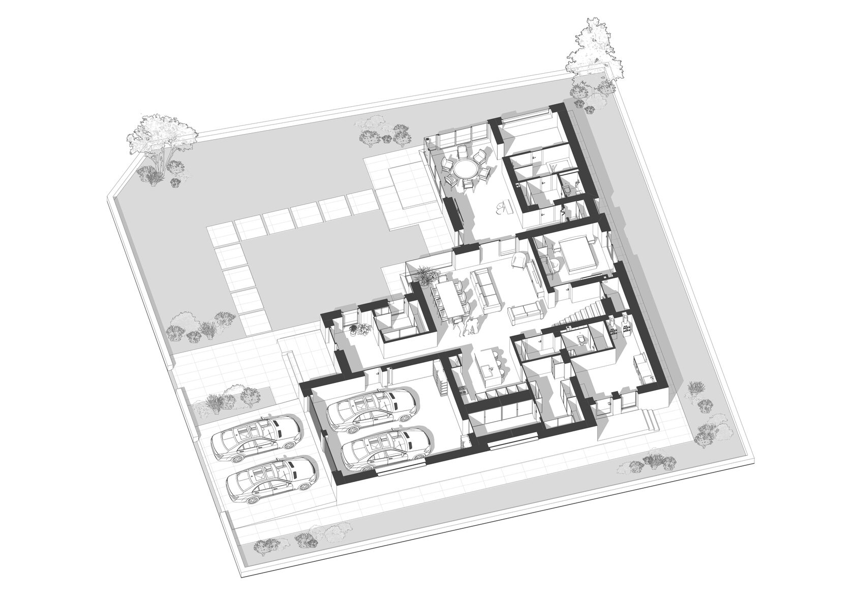 hatminki-aksanometria-1