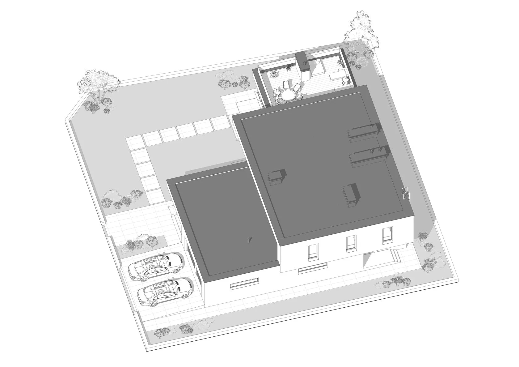 hatminki-aksanometria-2