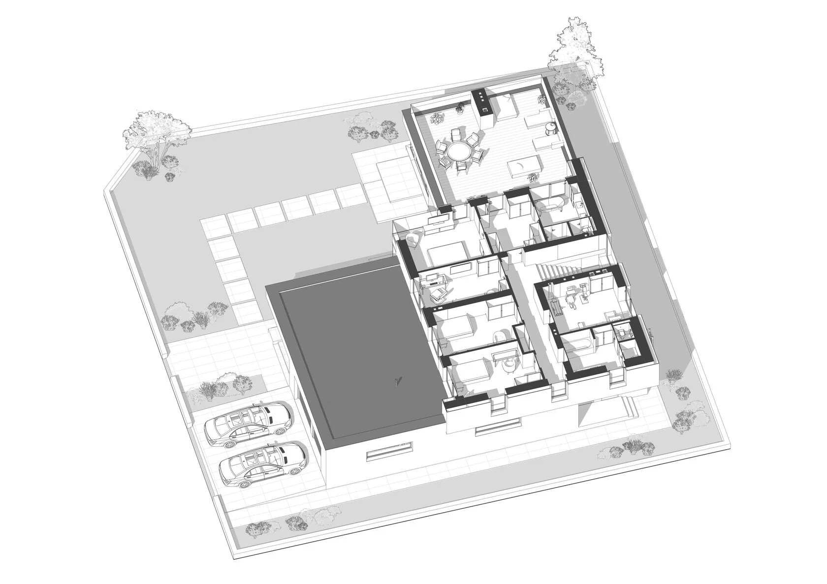 hatminki-aksanometria-3